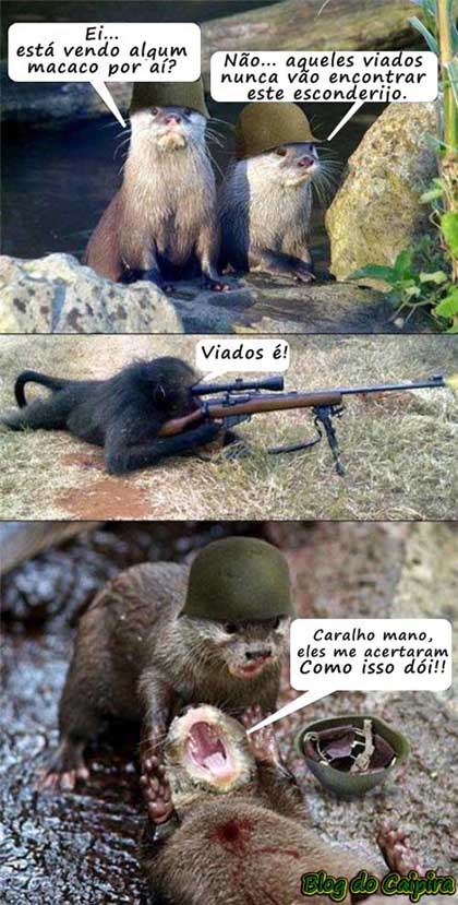 macaco caça