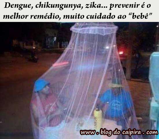 como evitar o mosquito da dengue