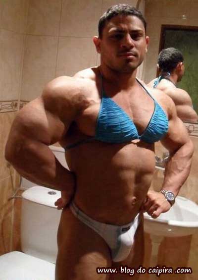 gay musculoso