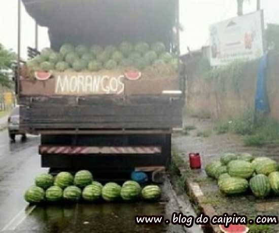 caminhão de melancia