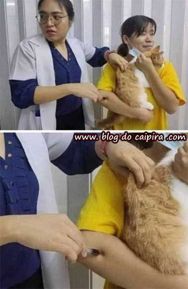 vacina no veterinário