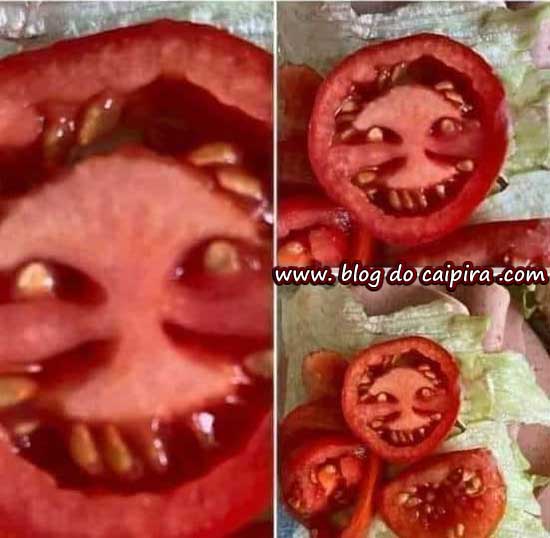 tomate monstro